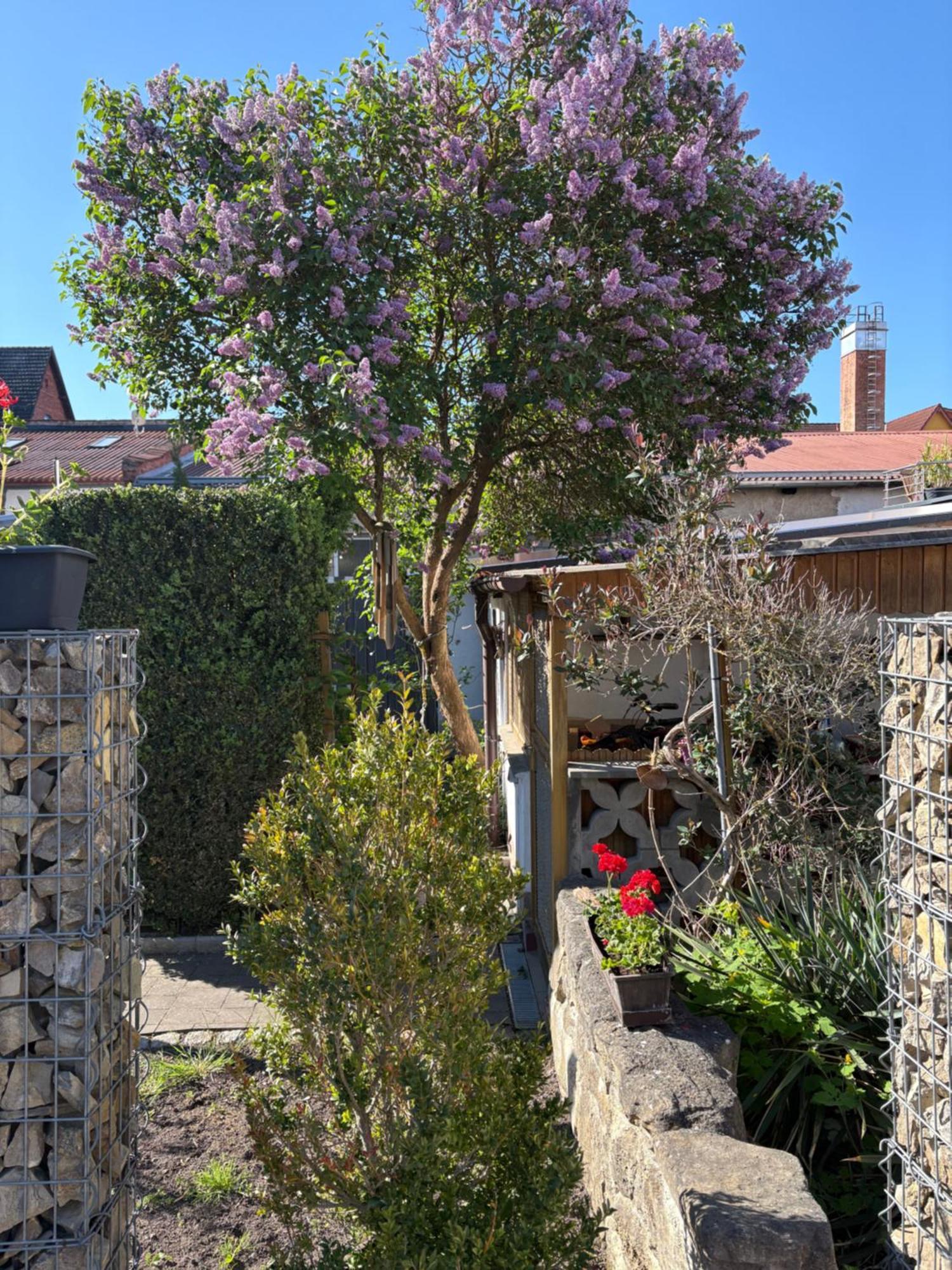 Haus Hannah Майнинген Экстерьер фото